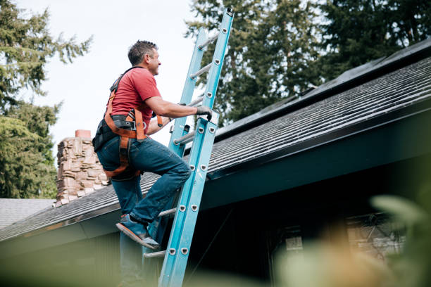 Best Rubber Roofing (EPDM, TPO)  in Island Walk, FL