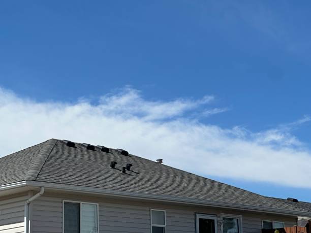 Fast & Reliable Emergency Roof Repairs in Island Walk, FL